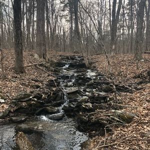 Meet your Posher, Mari